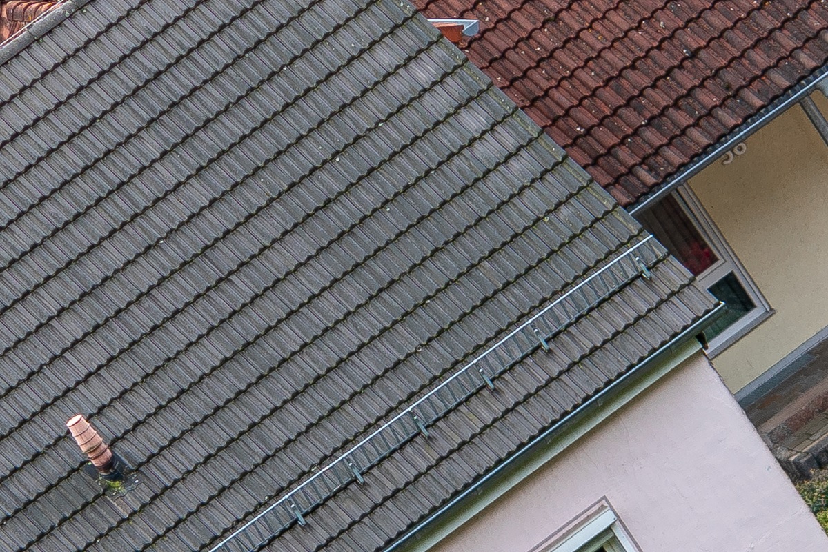 100%-Vergrößerung / 100%-Enlargement f5.6