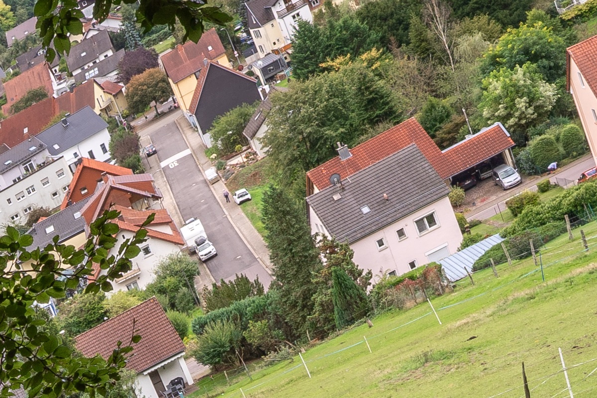 100%-Vergrößerung / 100%-Enlargement f8