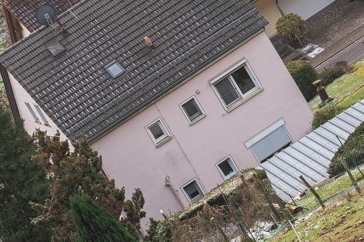 100%-Vergrößerung / 100%-Enlargement f5.6