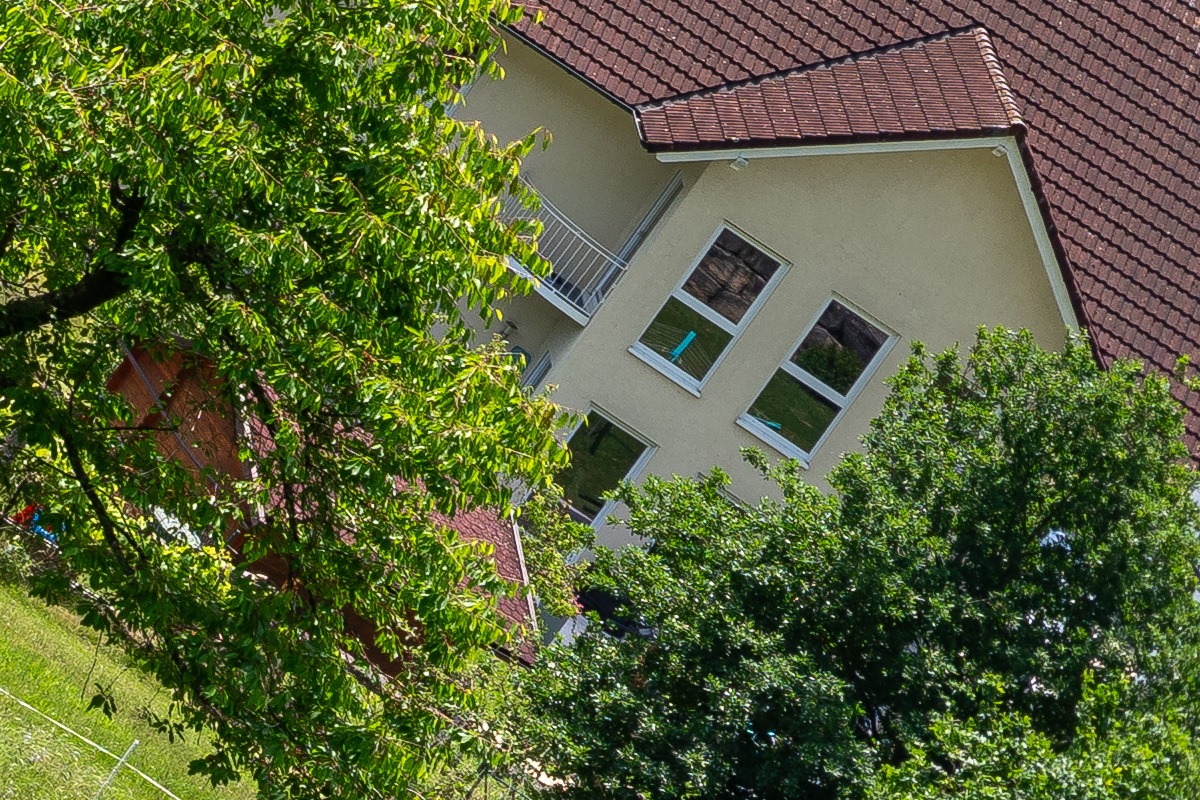 100%-Vergrößerung / 100%-Enlargement f8