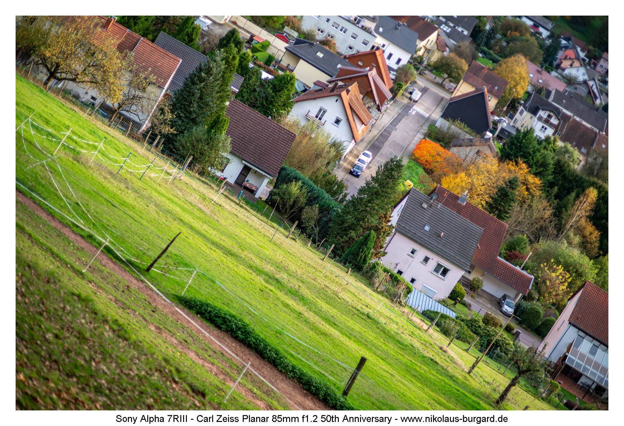 Gesamtbild / Full Picture f1.4
