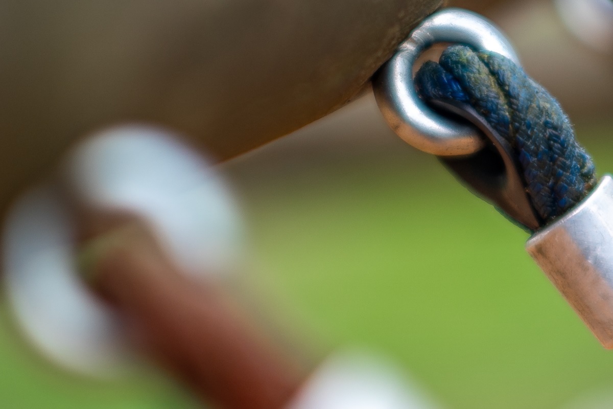 Vergrößerung vor der Schärfeebene / Enlargement in front of focus plane