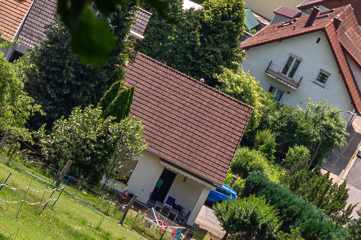 100%-Vergrößerung / 100%-Enlargement f8