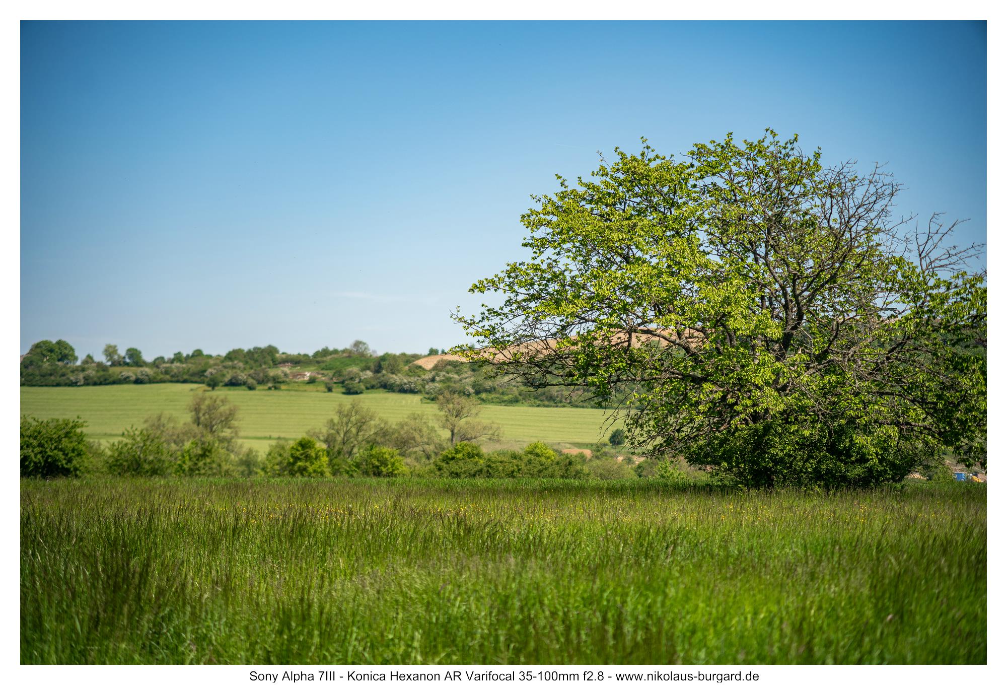 100mm f2.8