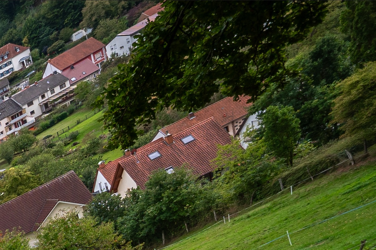 100%-Vergrößerung / 100%-Enlargement f4