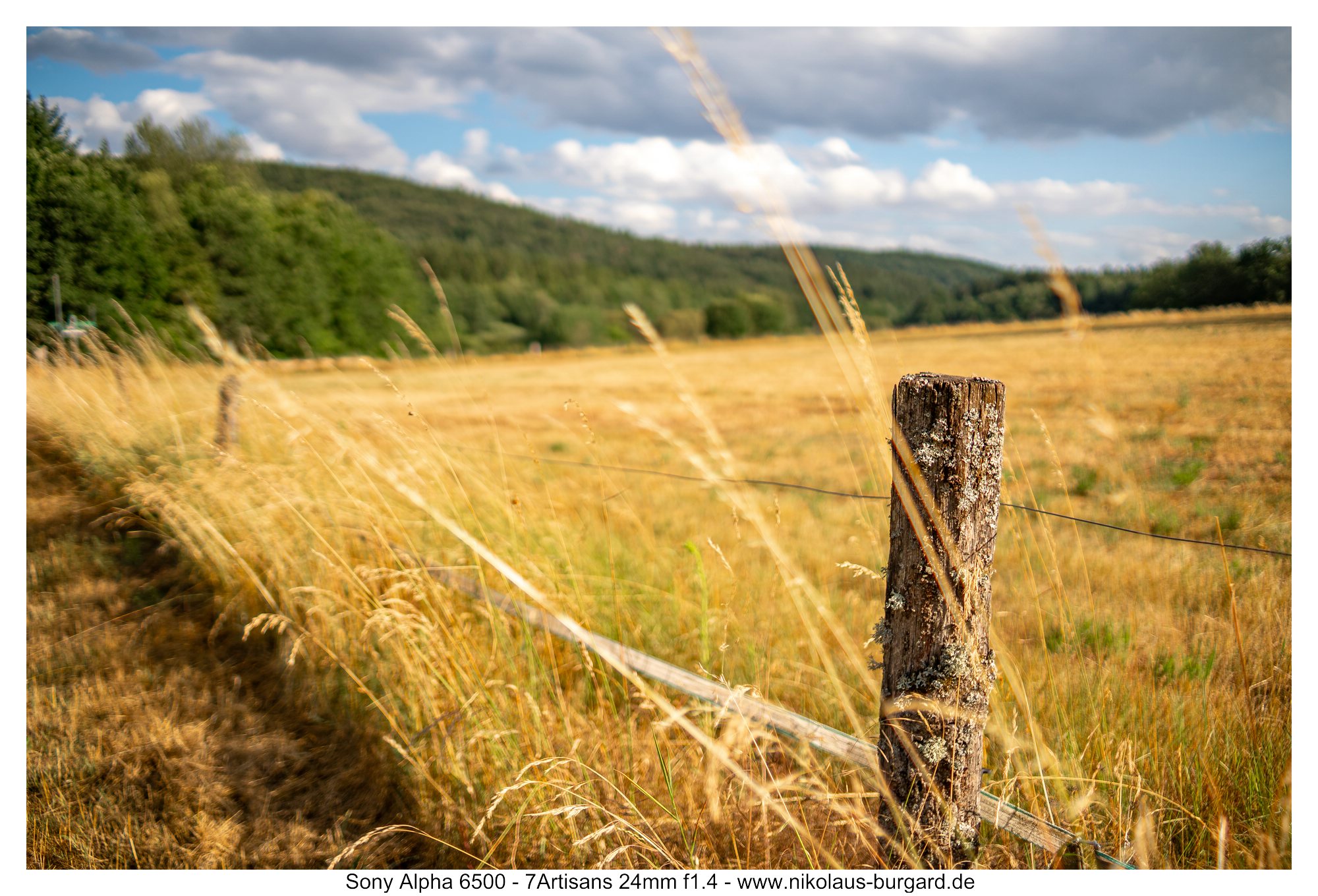 f1.4  - Fokus auf Pfosten rechts / Focus on right fence post