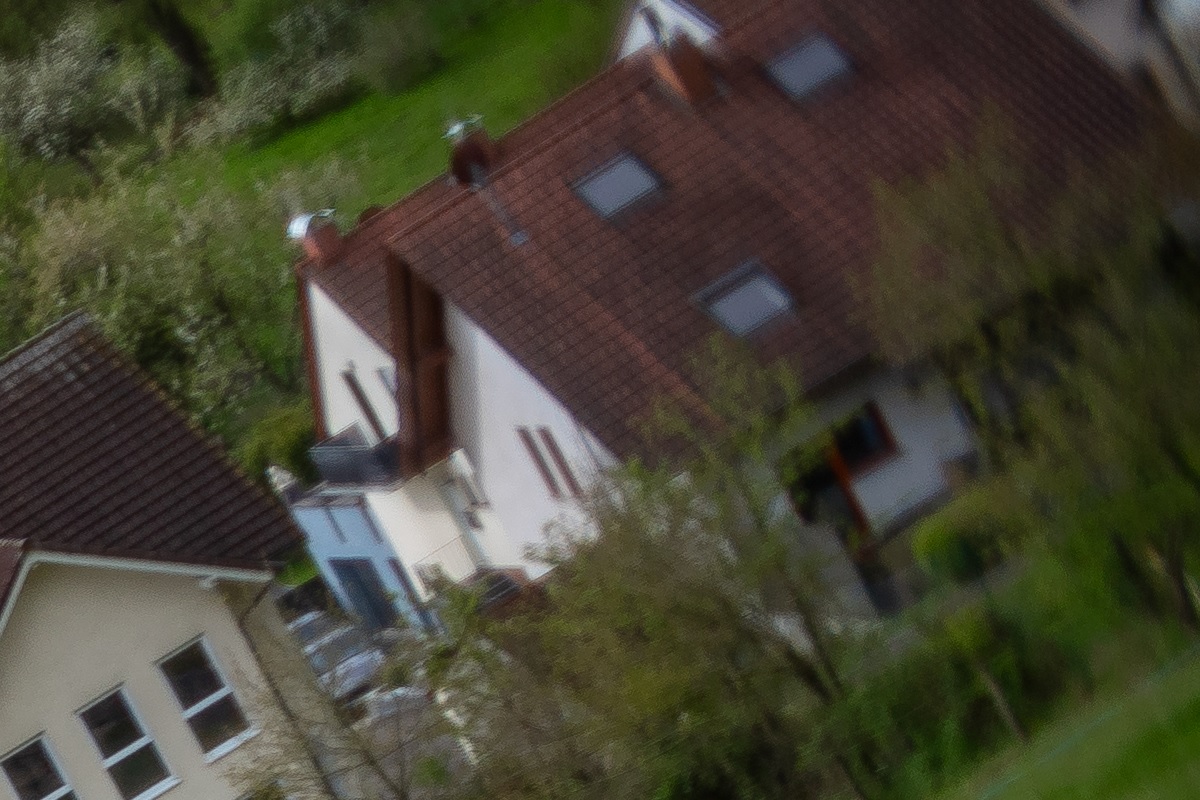 100%-Vergrößerung / 100%-Enlargement f2.5
