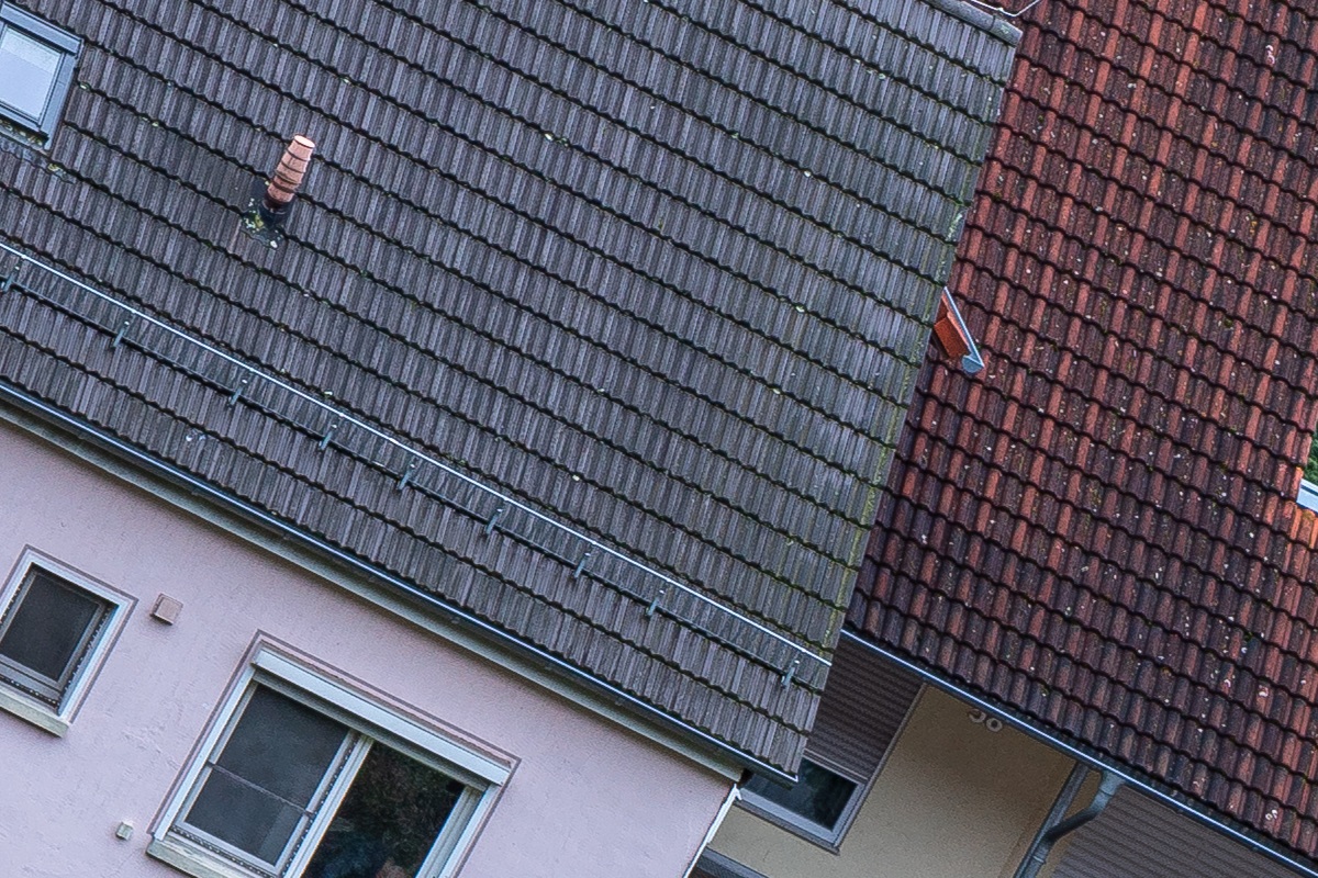 100%-Vergrößerung / 100% Enlargement f8