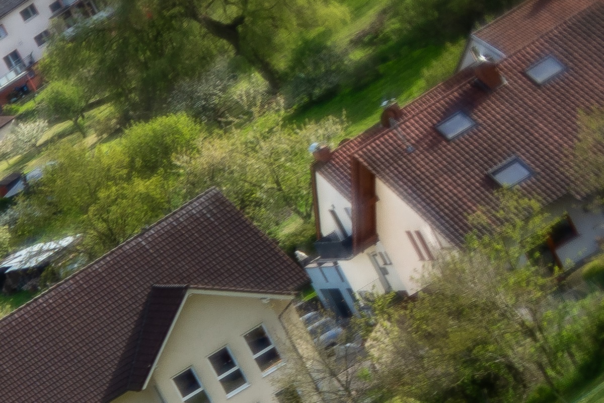 100%-Vergrößerung / 100%-Enlargement f8