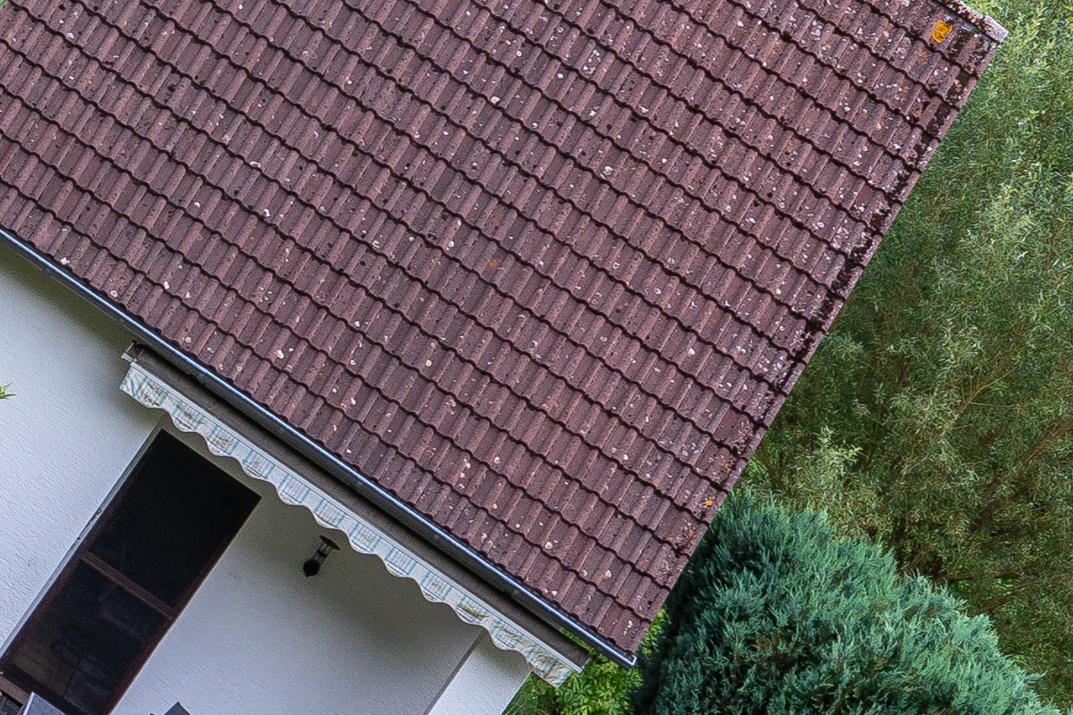 100%-Vergrößerung / 100%-Enlargement f8