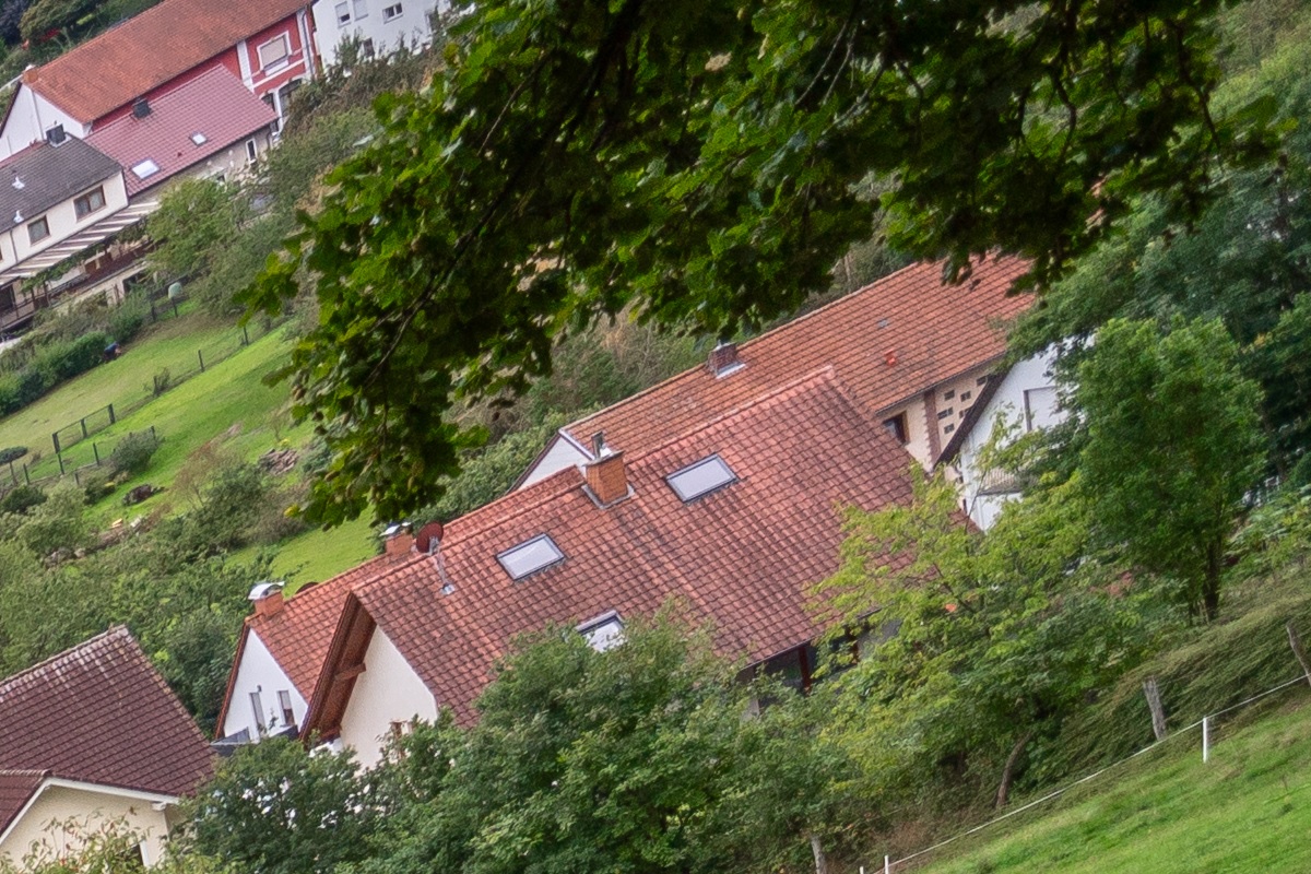 100%-Vergrößerung / 100%-Enlargement f4