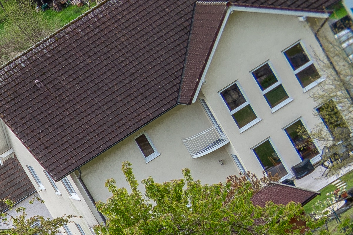 100%-Vergrößerung / 100%-Enlargement f8