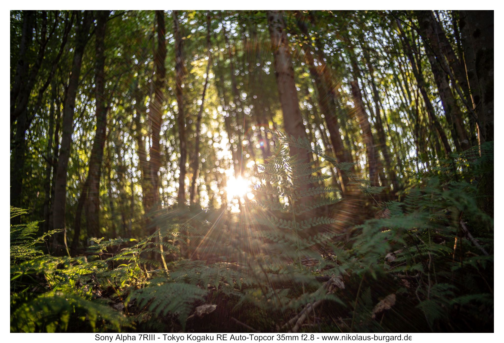 f2.8, Sonne unverdeckt / Sun unhidden