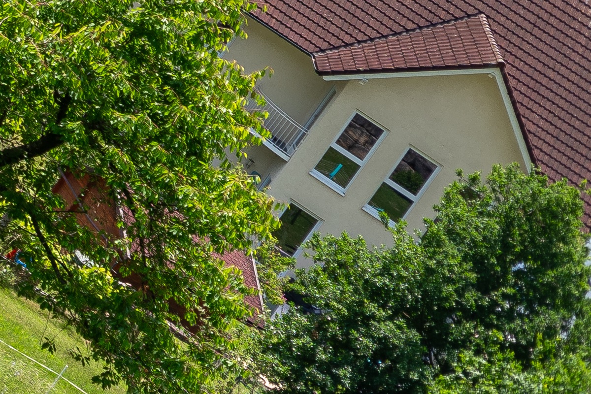 100%-Vergrößerung / 100%-Enlargement f5.6