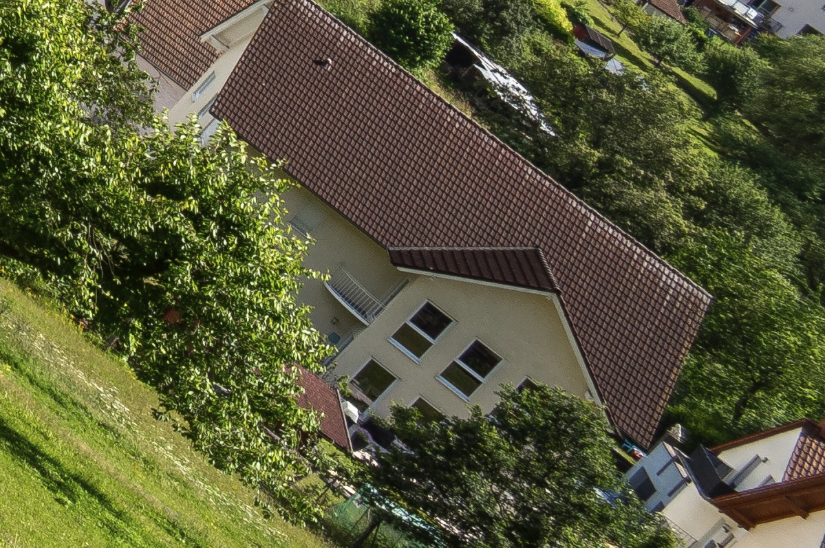 100%-Vergrößerung / 100%-Enlargement f11