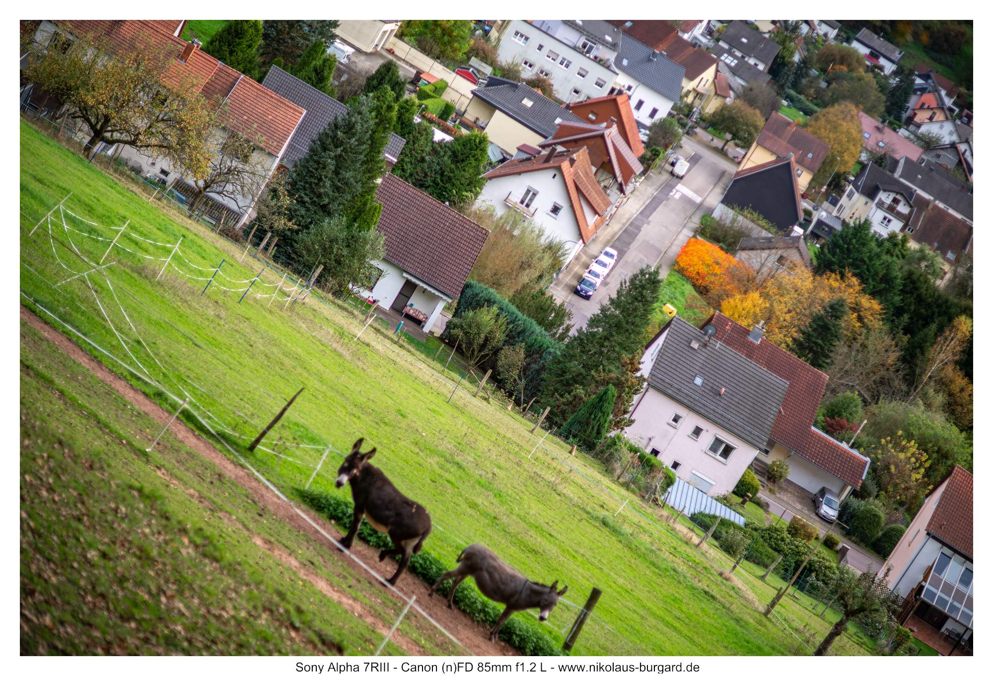 Gesamtbild / Full Picture f1.4