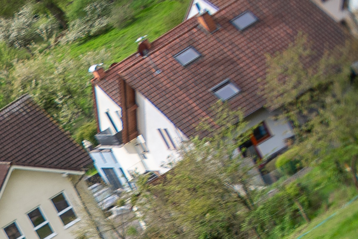 100%-Vergrößerung / 100%-Enlargement f5.6