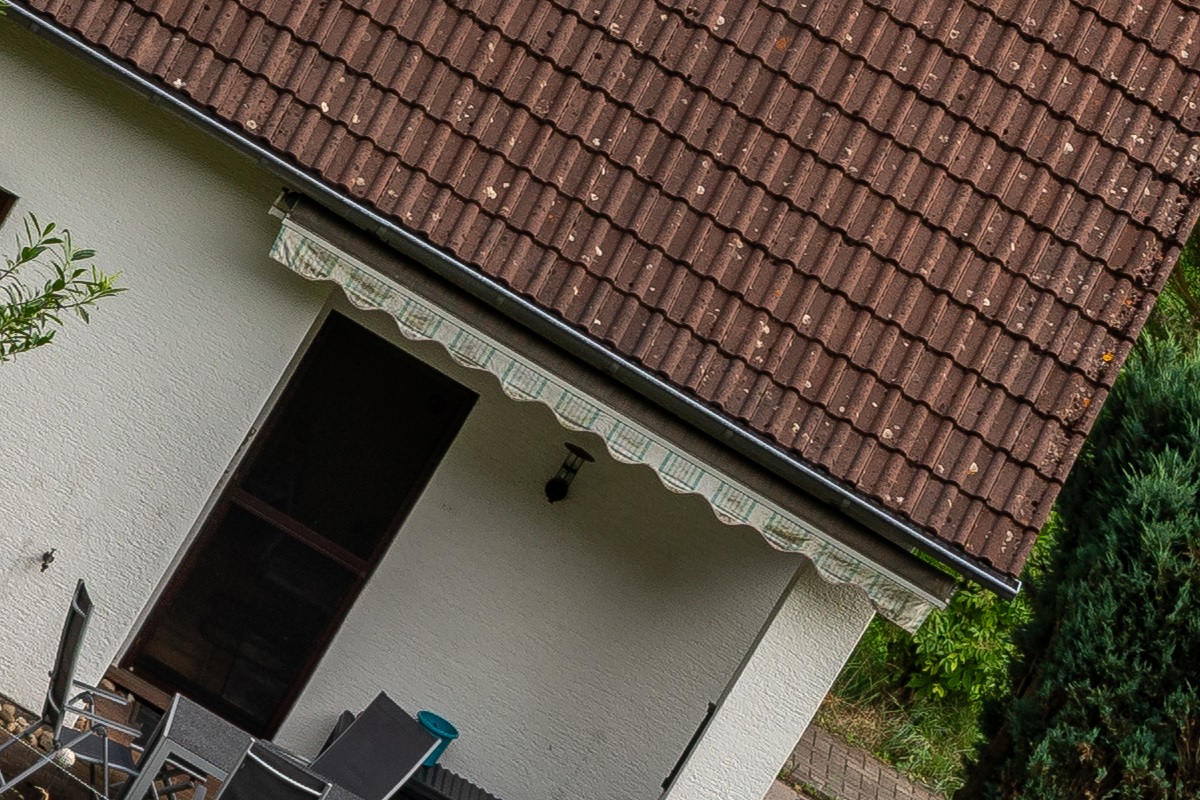 100%-Vergrößerung / 100%-Enlargement f8