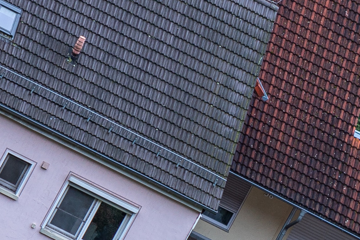 100%-Vergrößerung / 100% Enlargement f4