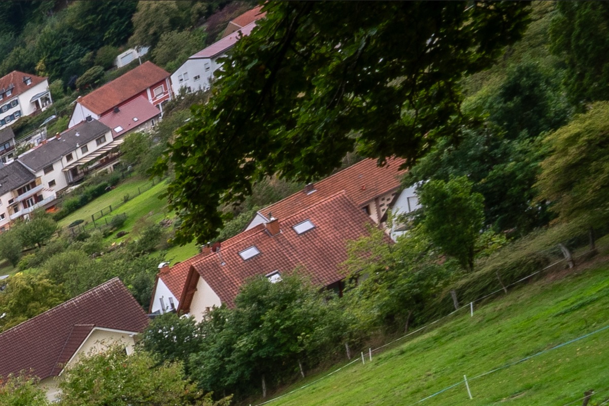 100%-Vergrößerung / 100%-Enlargement f11