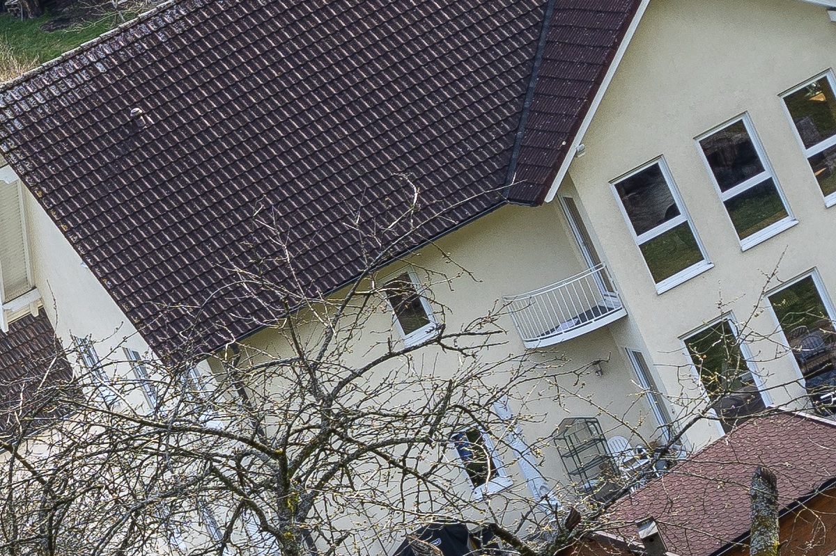 100%-Vergrößerung / 100%-Enlargement f8