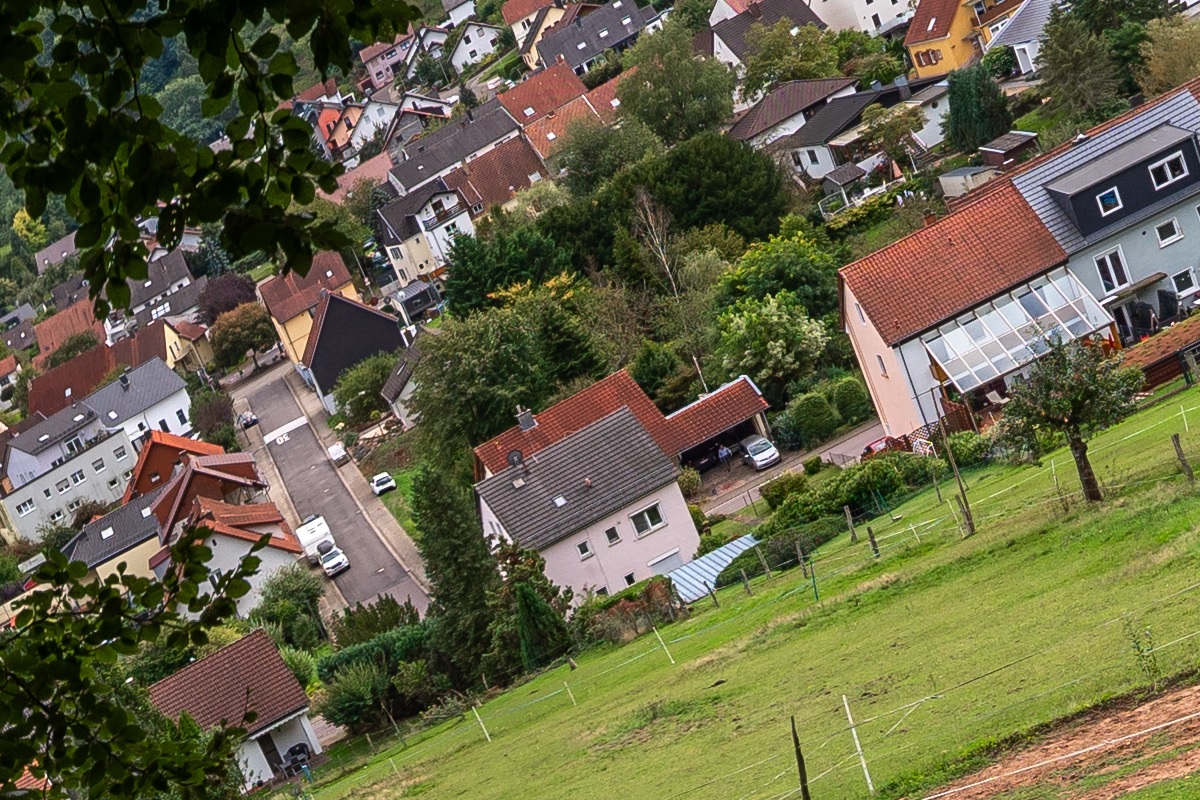 100%-Vergrößerung / 100%-Enlargement f2.8