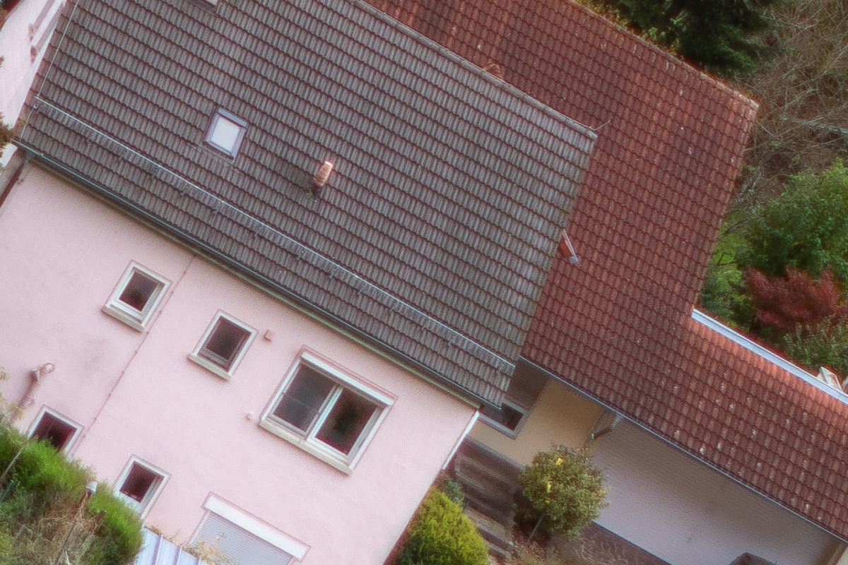 100%-Vergrößerung / 100%-Enlargement f1.2