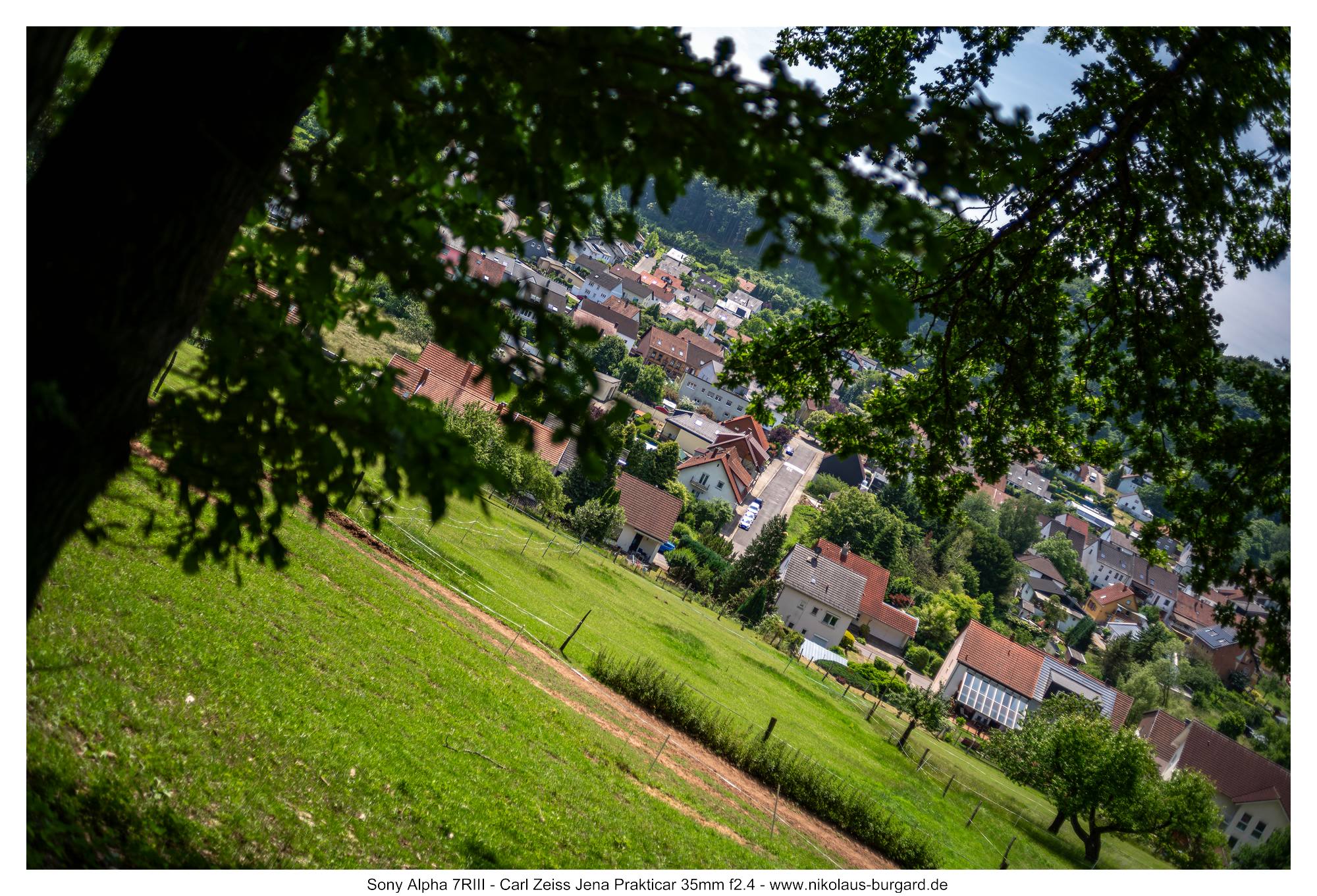 Gesamtbild / Full Picture f2.4