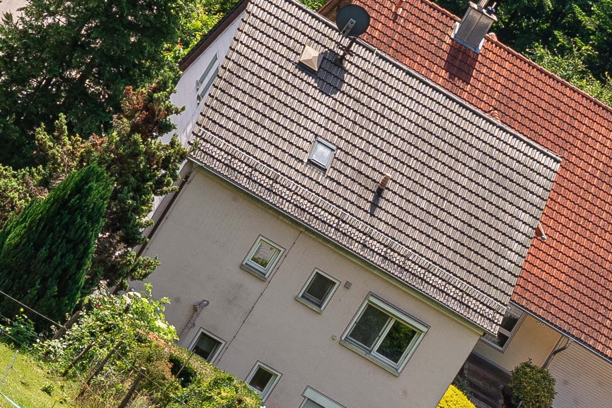 100%-Vergrößerung / 100%-Enlargement f8