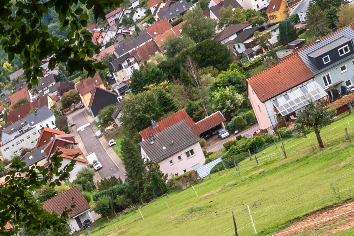 100%-Vergrößerung / 100%-Enlargement f8