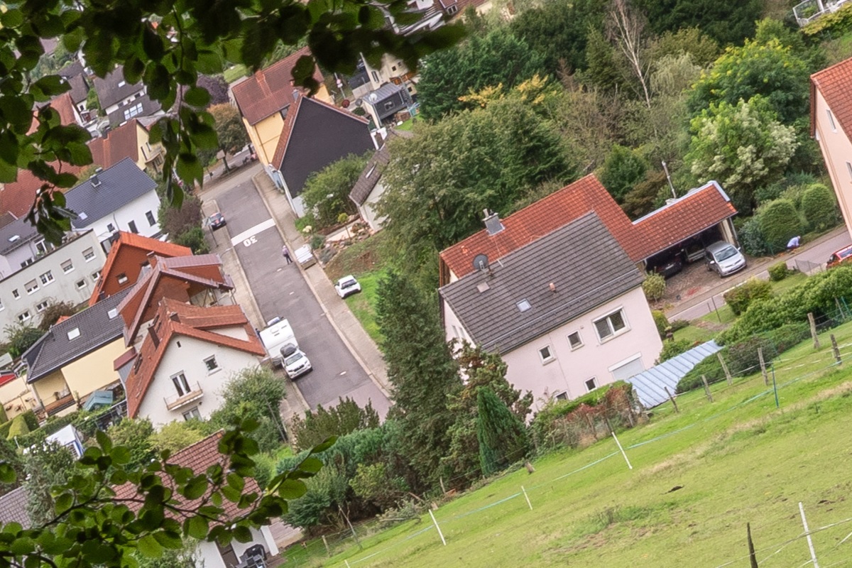 100%-Vergrößerung / 100%-Enlargement f11