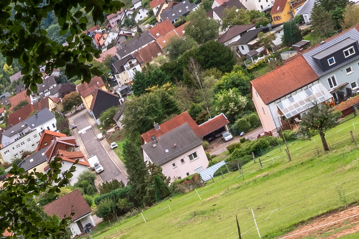 100%-Vergrößerung / 100%-Enlargement f11