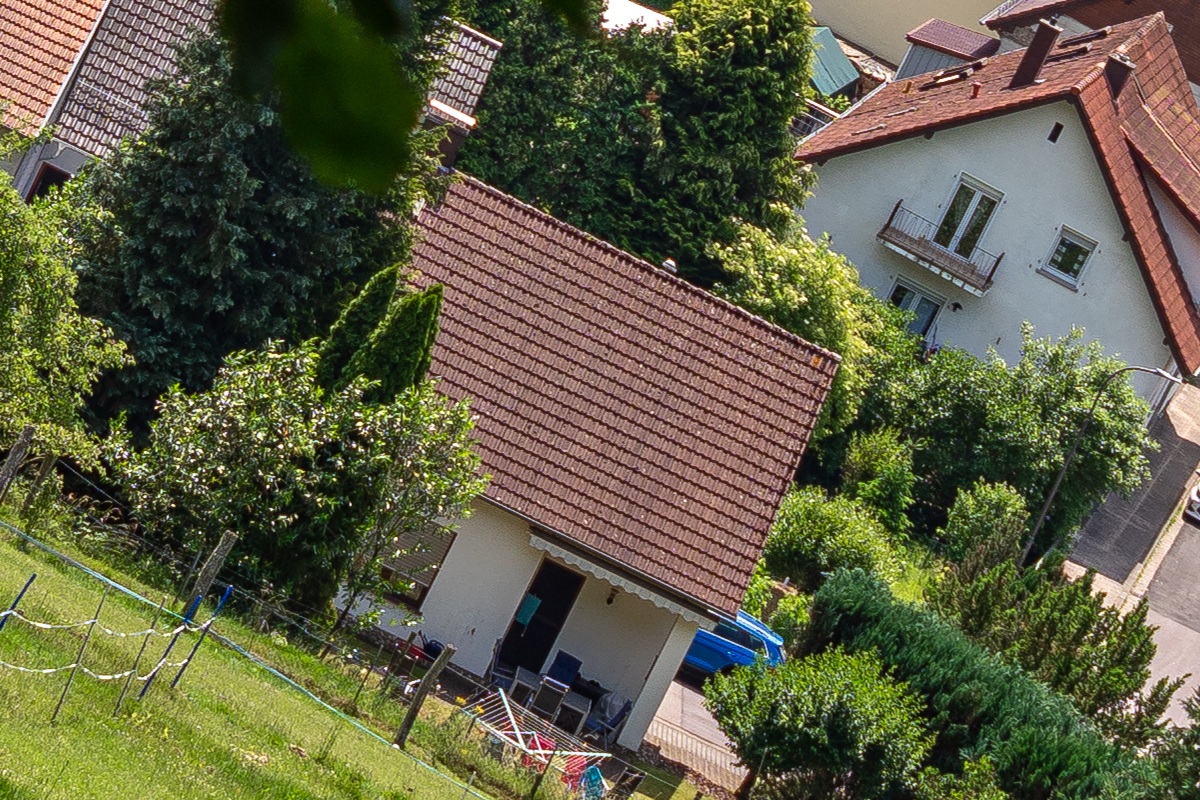 100%-Vergrößerung / 100%-Enlargement f5.6
