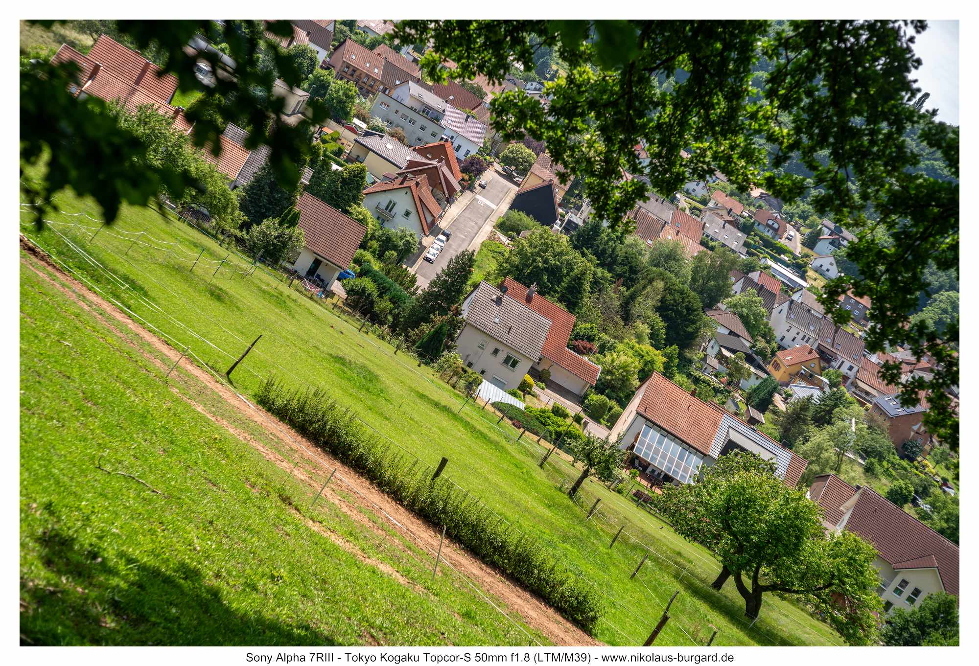 Gesamtbild / Full Picture f4