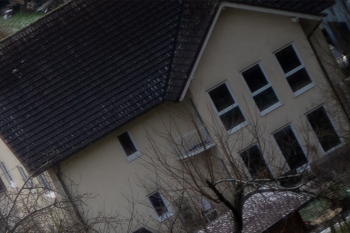 100%-Vergrößerung / 100%-Enlargement f1.9