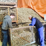 Aardappelen voor de voedselbank