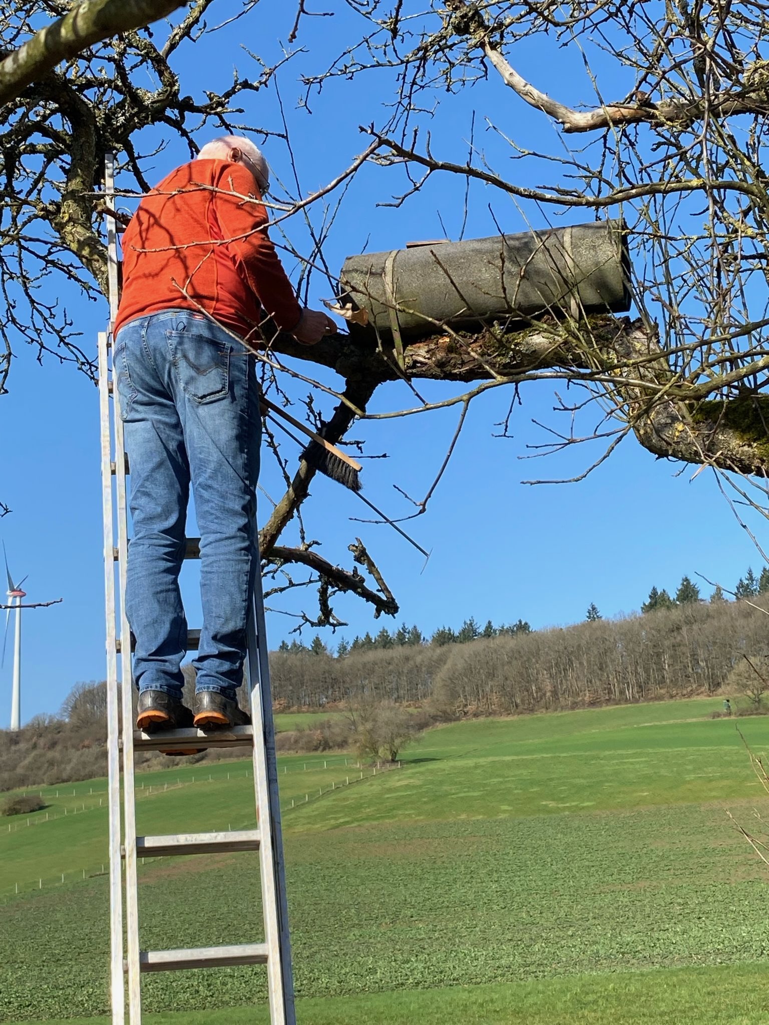Steinkauzröhre - Foto: NABU Kusel