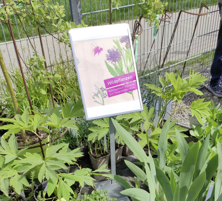Tag der Artenvielfalt – NABU-Stand in Offenburg