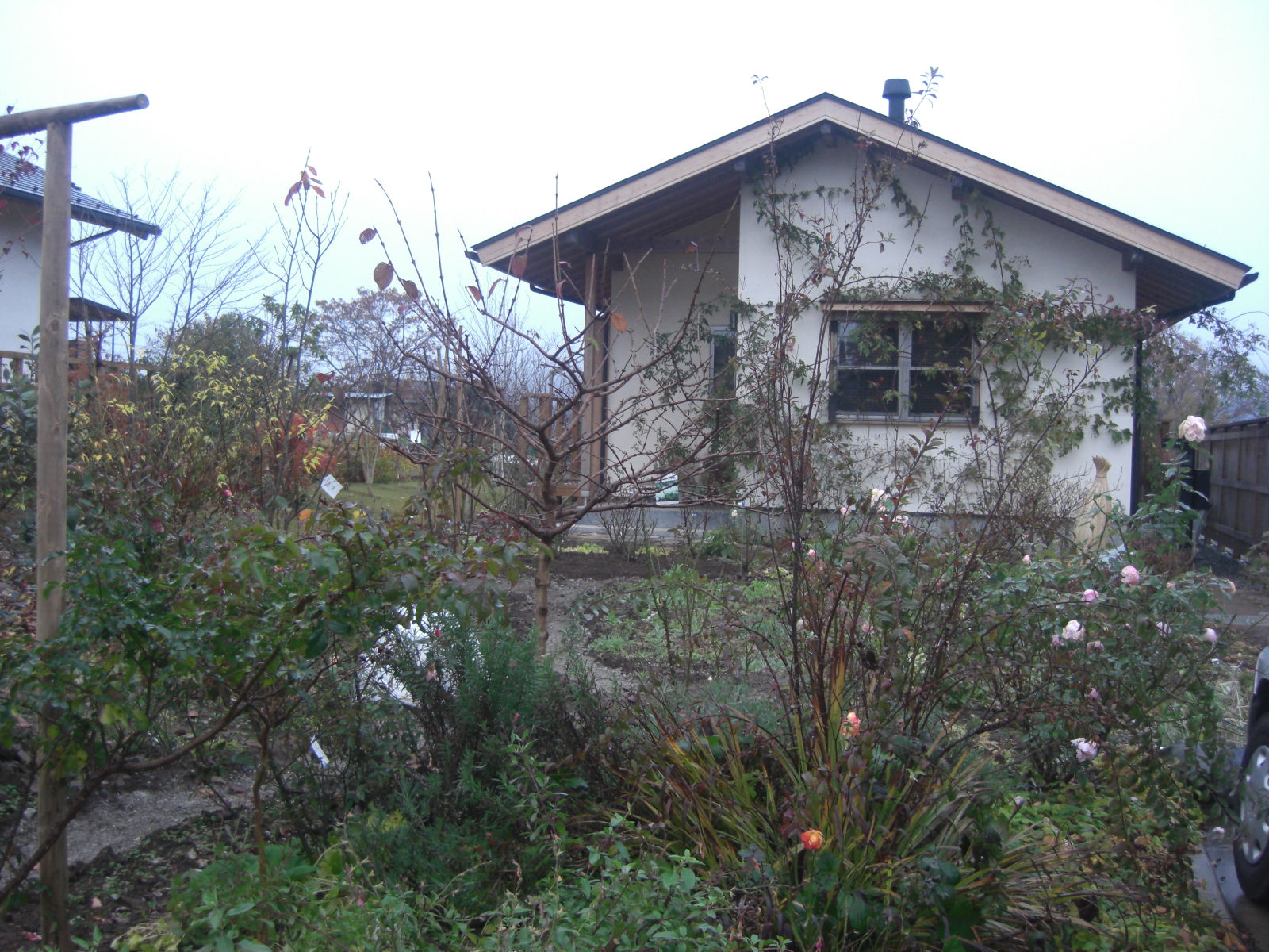 ばら園情報いろいろ 村田ばら園 Murata Rose Nursery