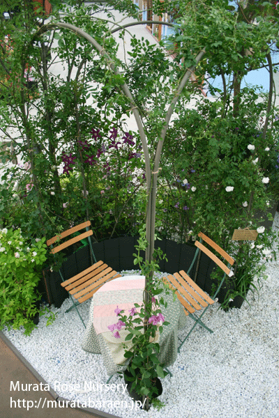 パイプアーチ 3 本を用いた作例 - 村田ばら園 Murata Rose Nursery パイプアーチ 3 本を用いた作例 - 村田ばら園 Murata Rose Nursery