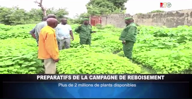 Les préparatifs de reboisement de la campagne 2023 : les pépinières sont déjà prêtes
