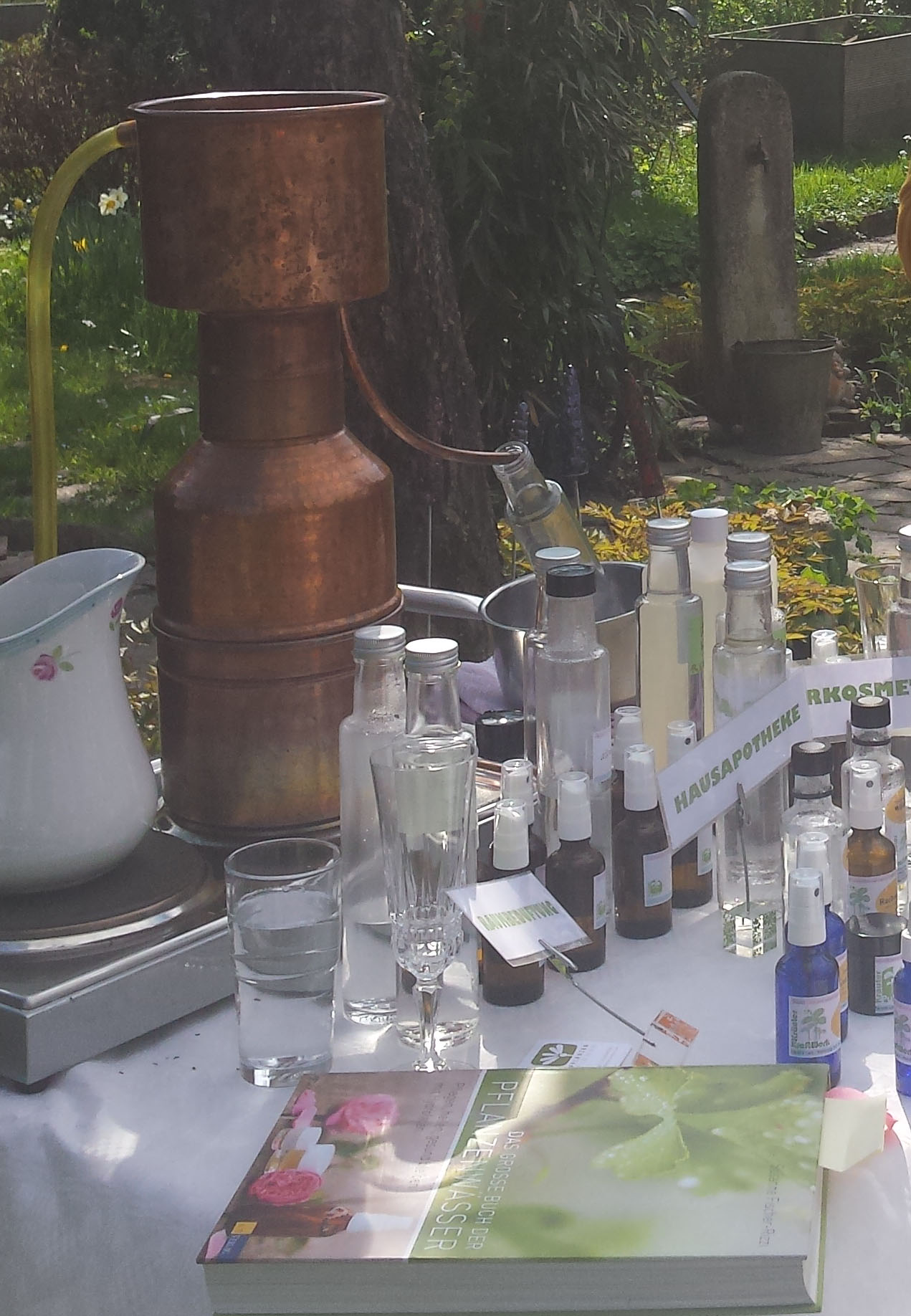 Workshops - Pflanzenzimmer - Kräuterführungen und -workshops