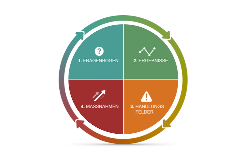 Organizational Analysis: «PRO-EQUALITY»