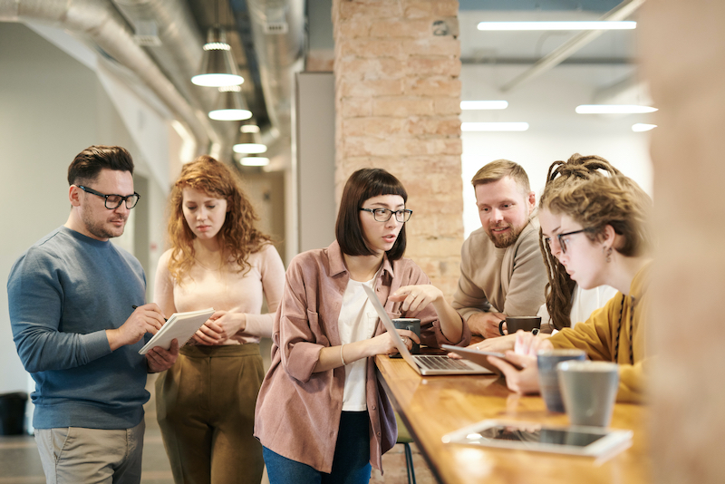 Promote Networking within the Organization