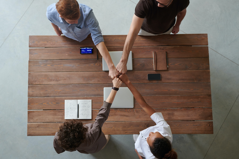 Diverse Team Composition ("Team Design")