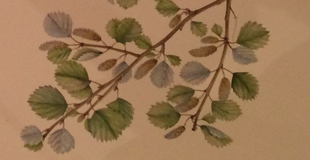 プロフィール - arcoiris大崎・品川チャイナペインティング教室