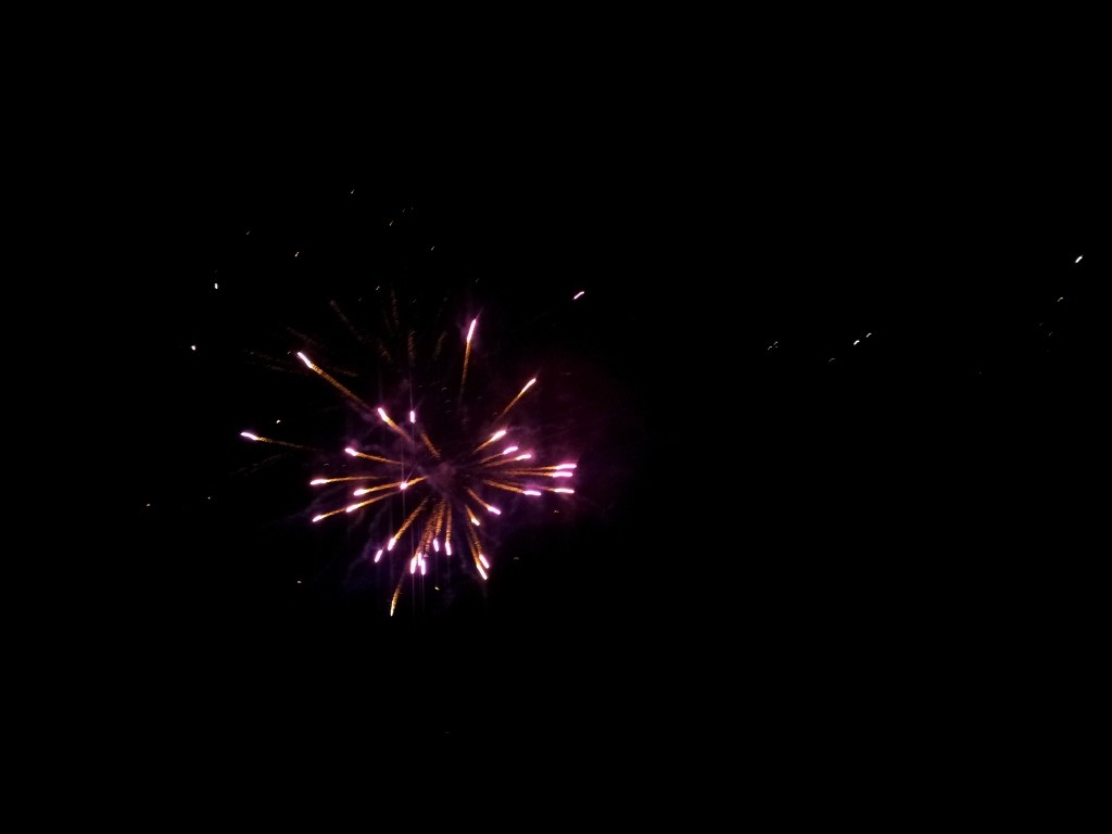 Saint-Alban, une des fêtes de l'été 2013