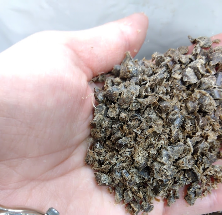 ヨシ箸製造の「循環」