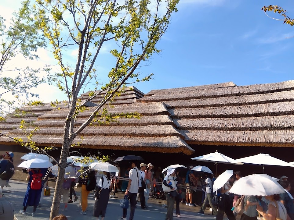 大阪・関西万博で厳しい日差しを遮るヨシの屋根
