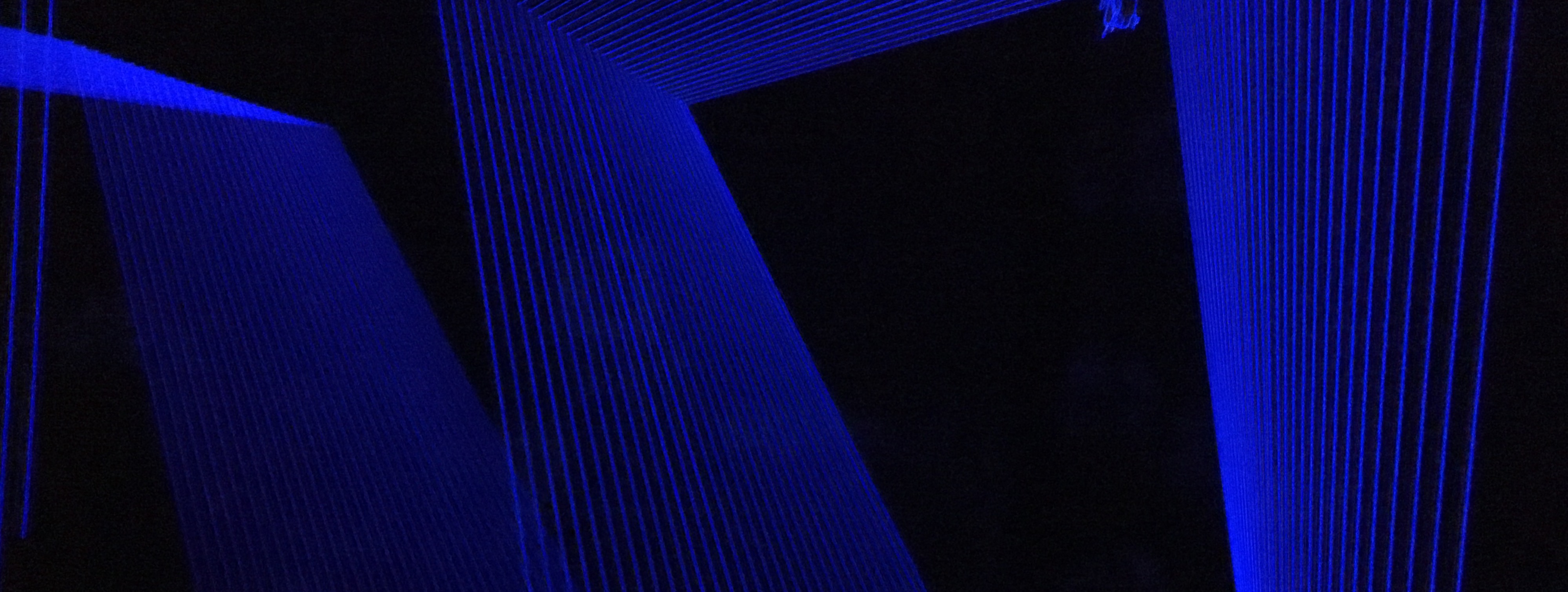 Johannes Graf Musiker für Ihre event